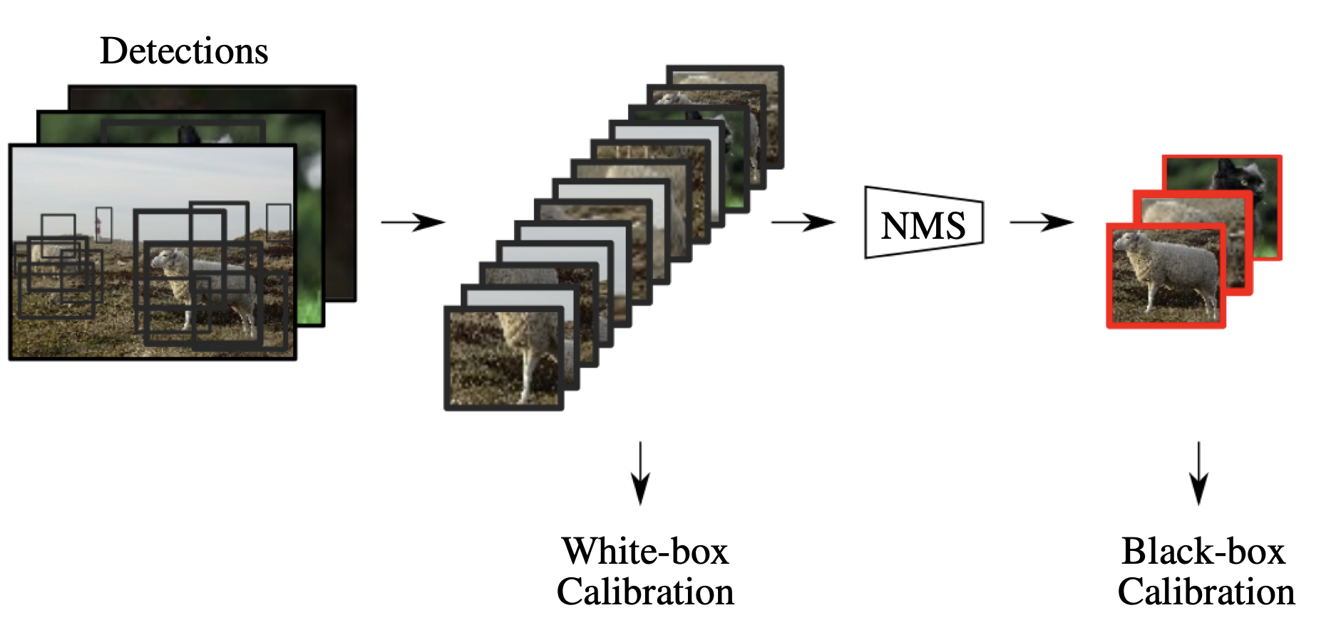 From Black-box to White-box: Examining Confidence Calibration under different Conditions